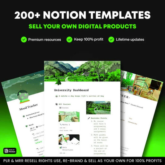 200+ Notion Templates: Notion Journals, Notion Calendars, Notion Planners, Bonuses, & Much More!
