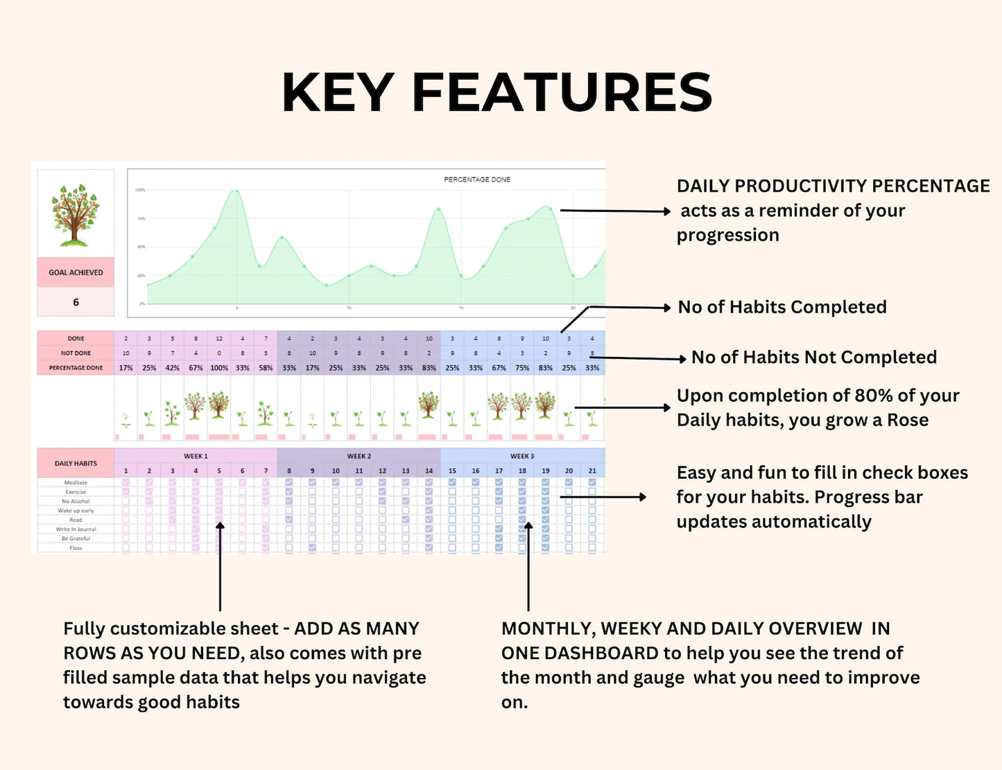 GOOGLE SHEETS & EXCEL HABIT TRACKER TEMPLATE (PLR/MRR)