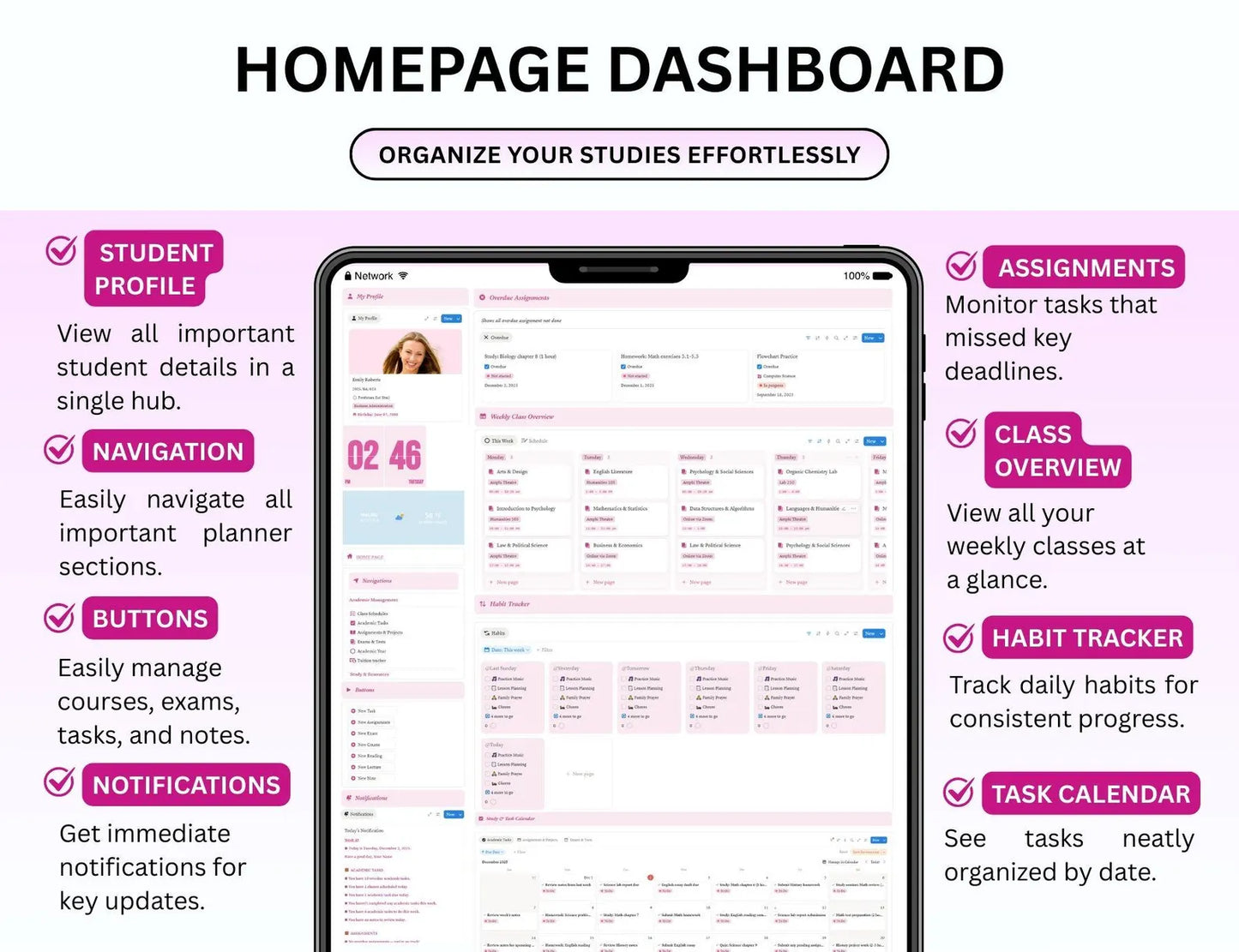 Beautiful Pink Student Planner with Resell Rights